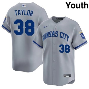 MLB #38 The 'Yals Josh Taylor Gray Youth Jersey 533857-857
